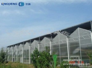 Polycarbonate Greenhouse