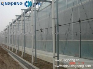 Polycarbonate Sheet Greenhouse